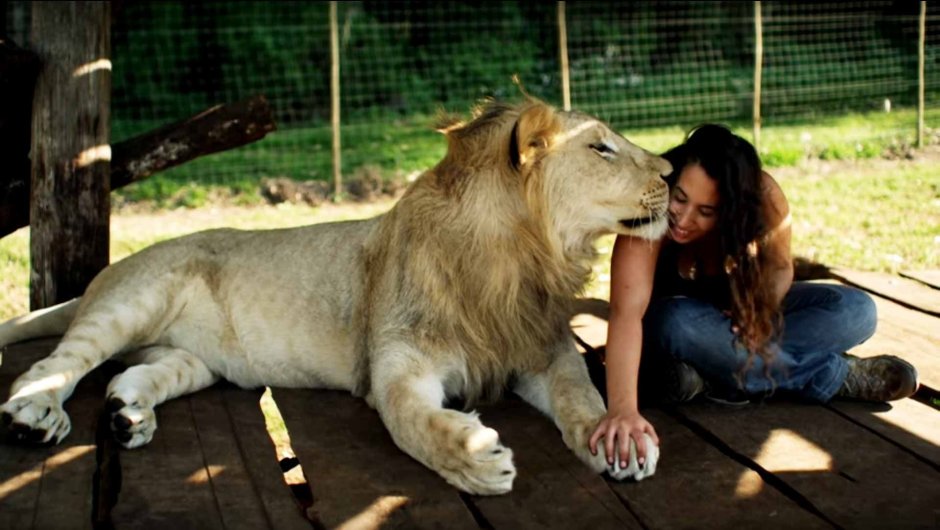 Невероятная Дружба людей и хищных животных