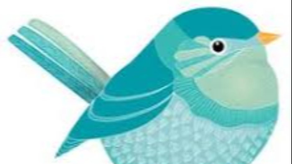Bird рисунок