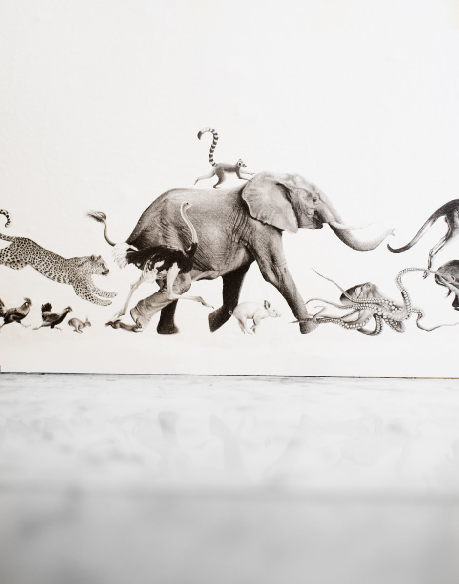 Интерьерная Studio Elephant