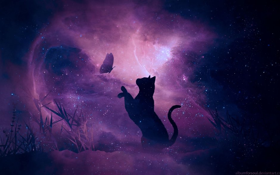 Космическая кошка