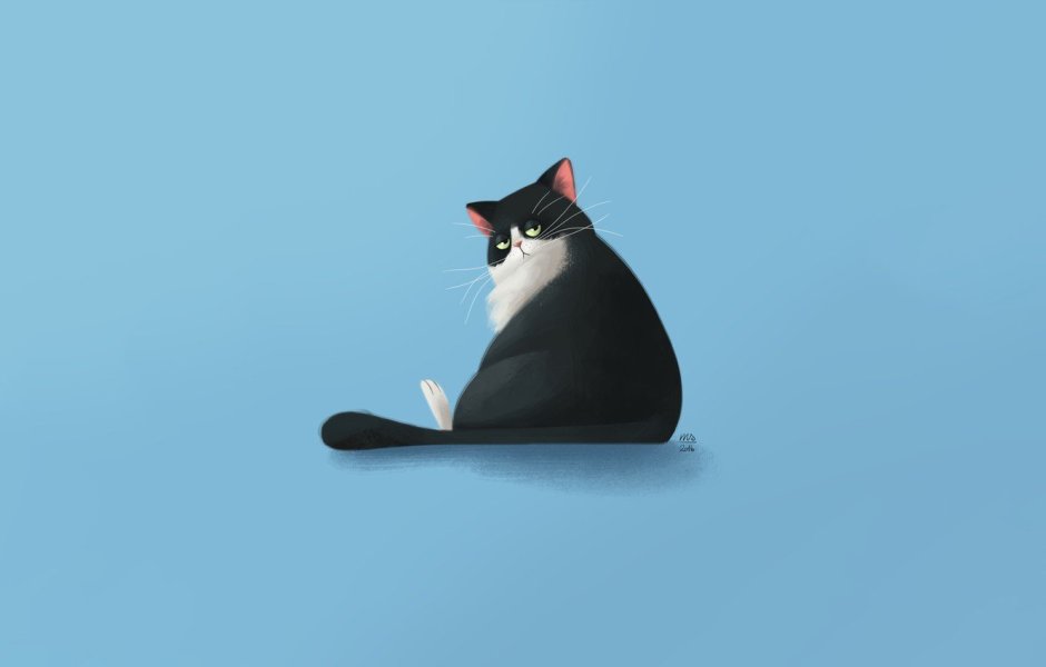 Котенок на черном фоне