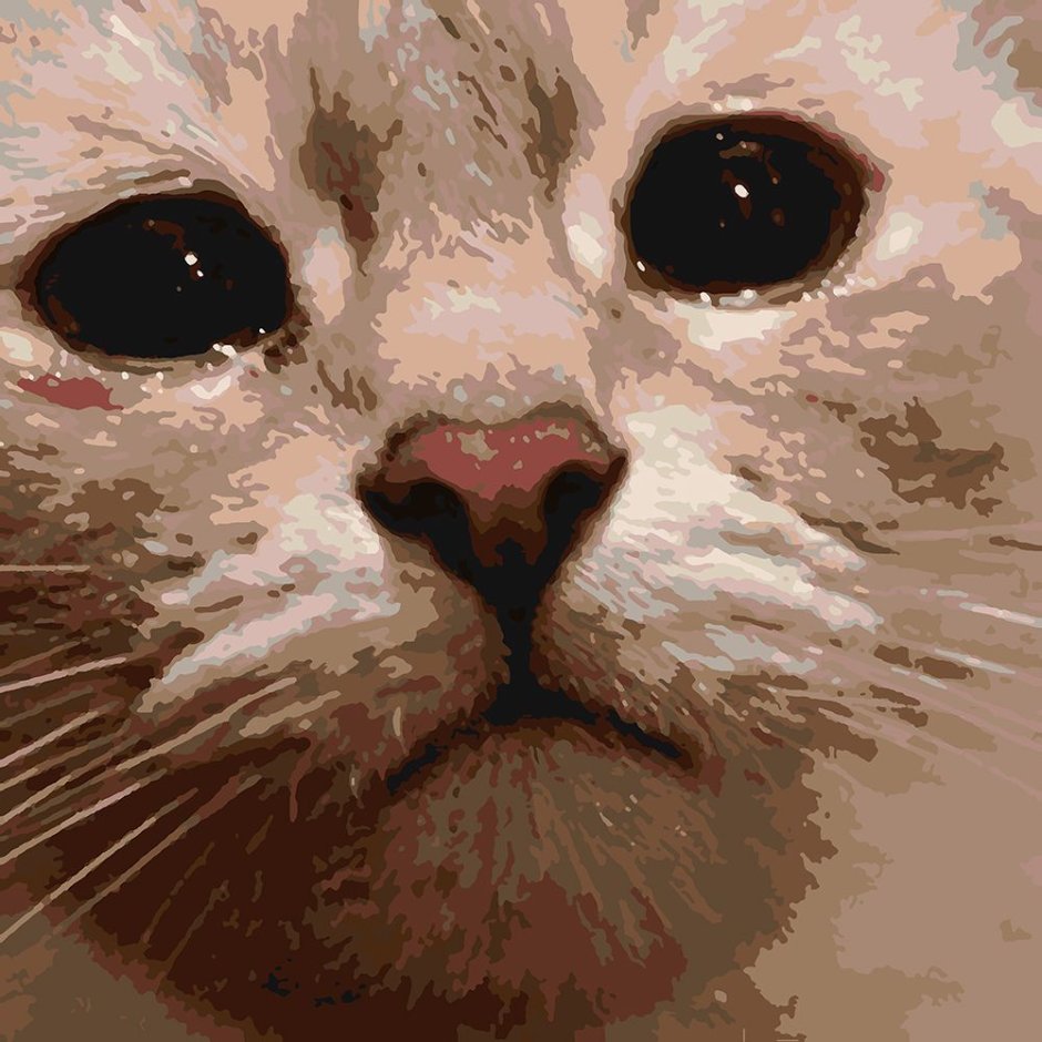 Кот плачет