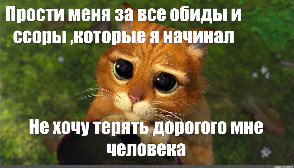 Прости меня милый
