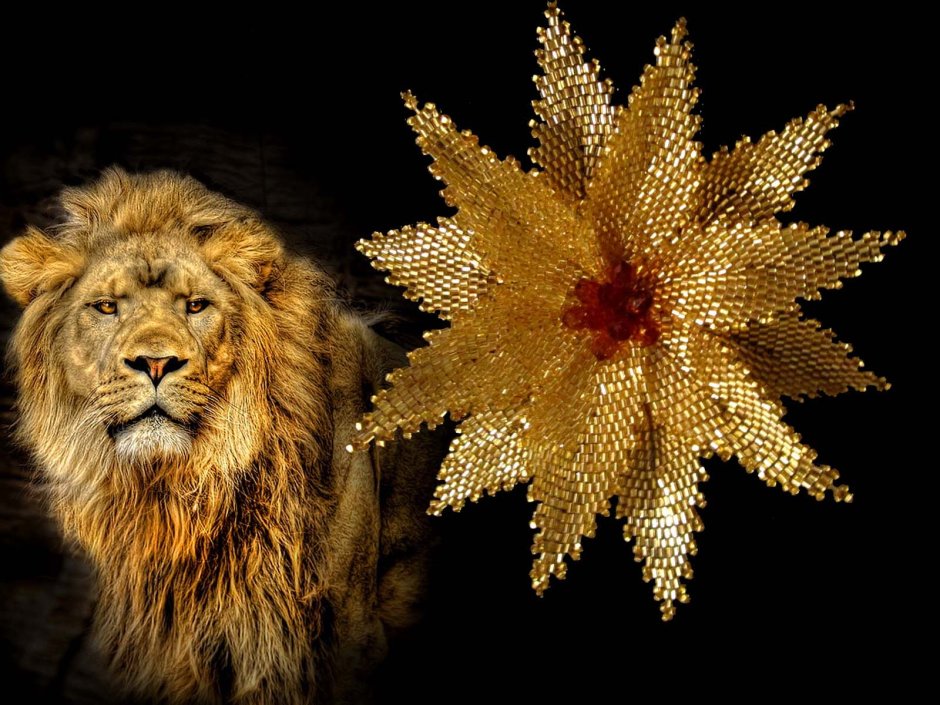 Пупынин золотой Лев