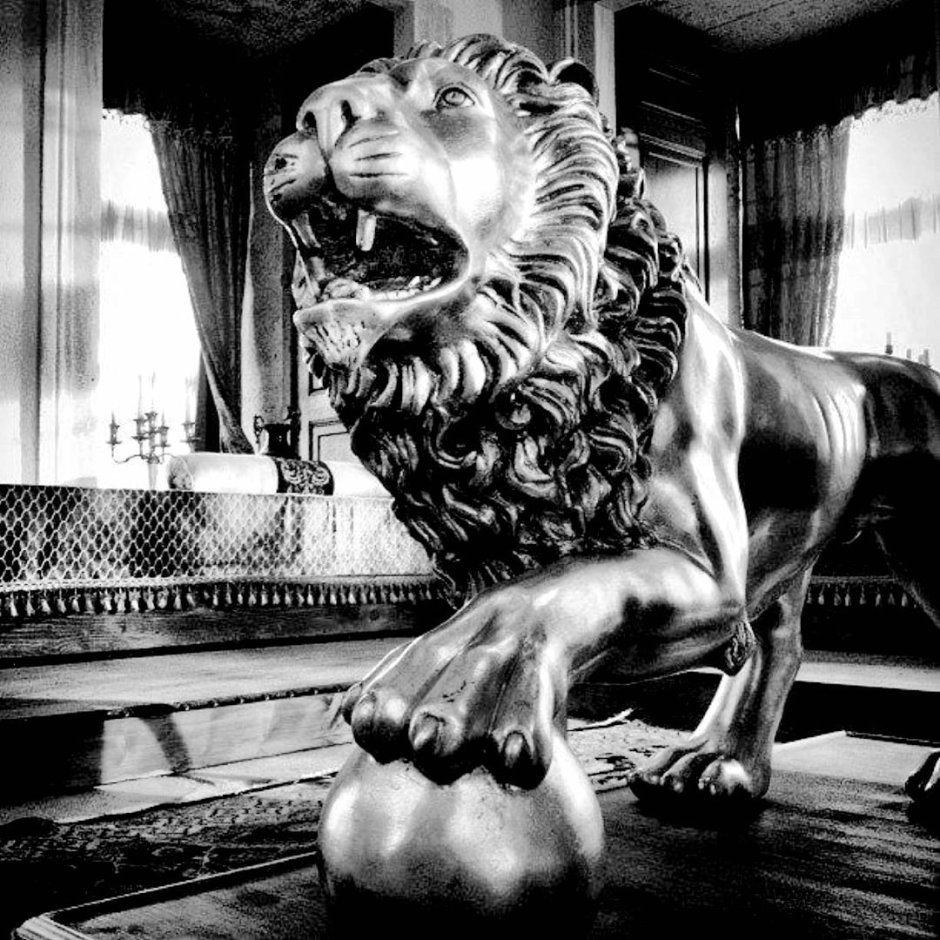 Золотой Лев Эстетика