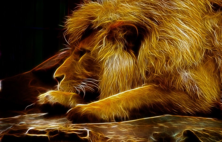 Лев обои
