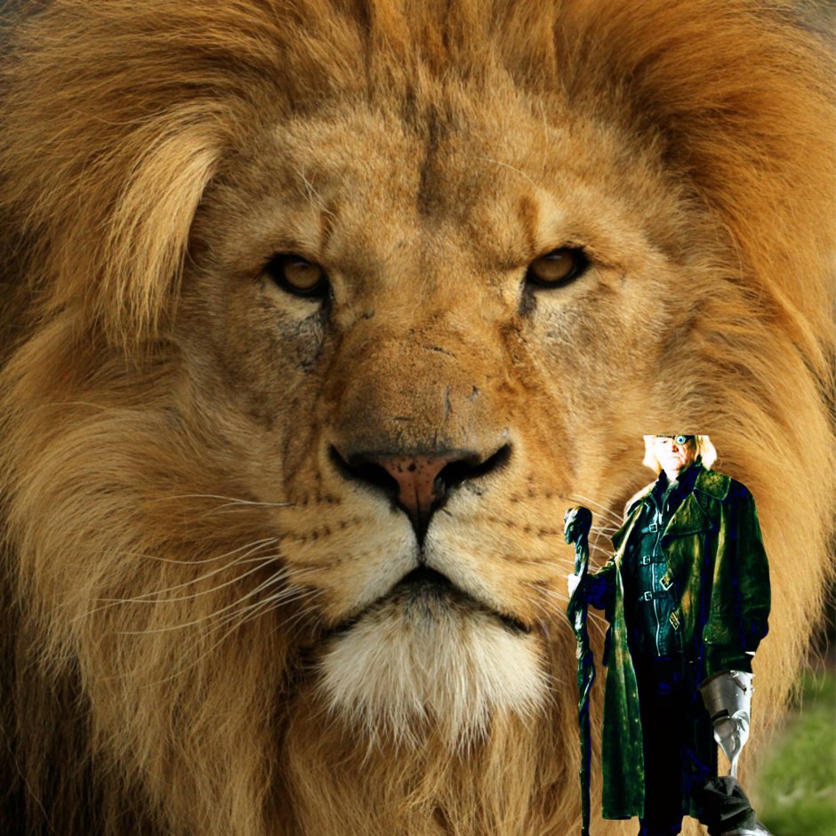 Красивая морда Льва