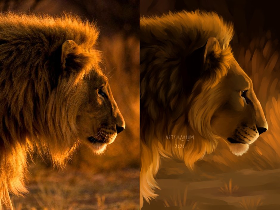 Золотой Лев животное