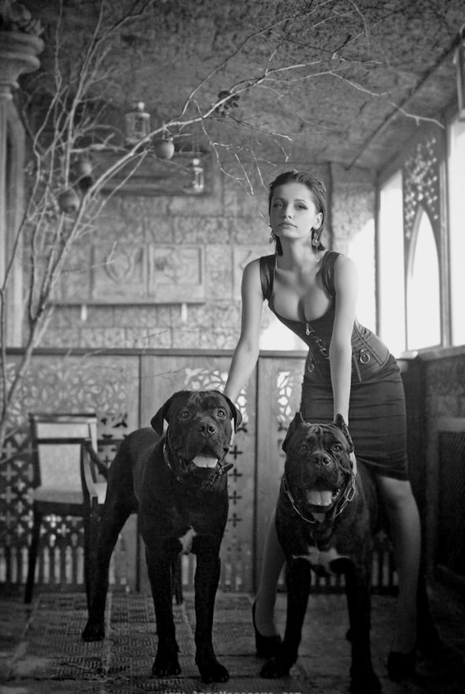 Ирина Шейк с доберманом