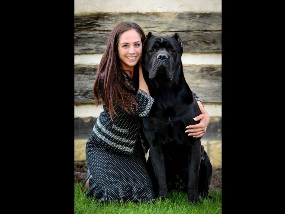 Секси девушка с Кане Корса