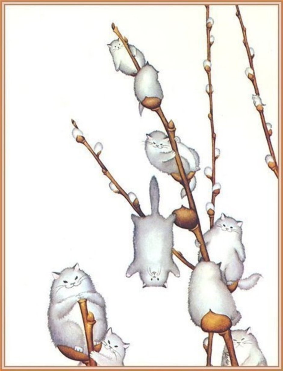 Верба и кошка