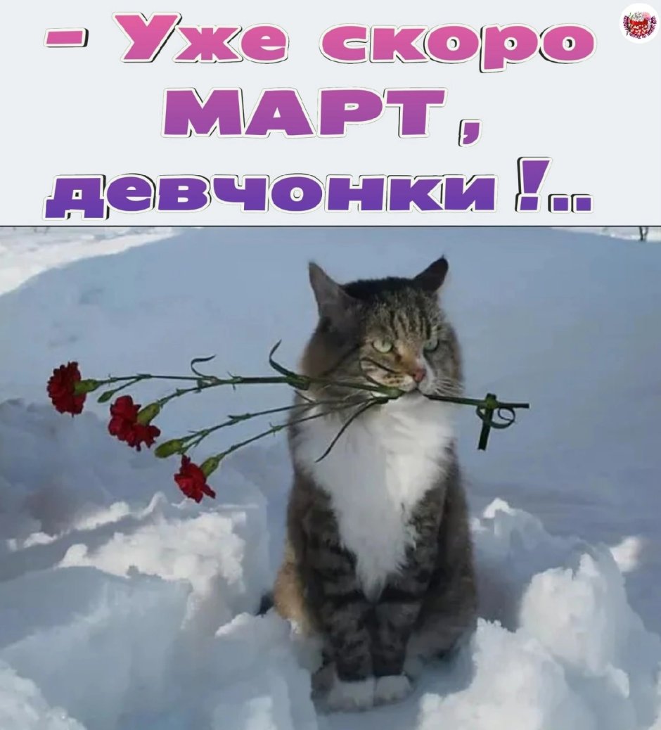 Шутки про март