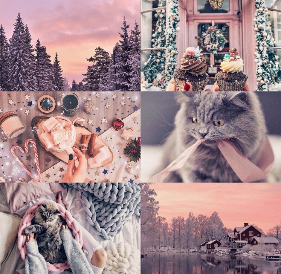 Котики цветут