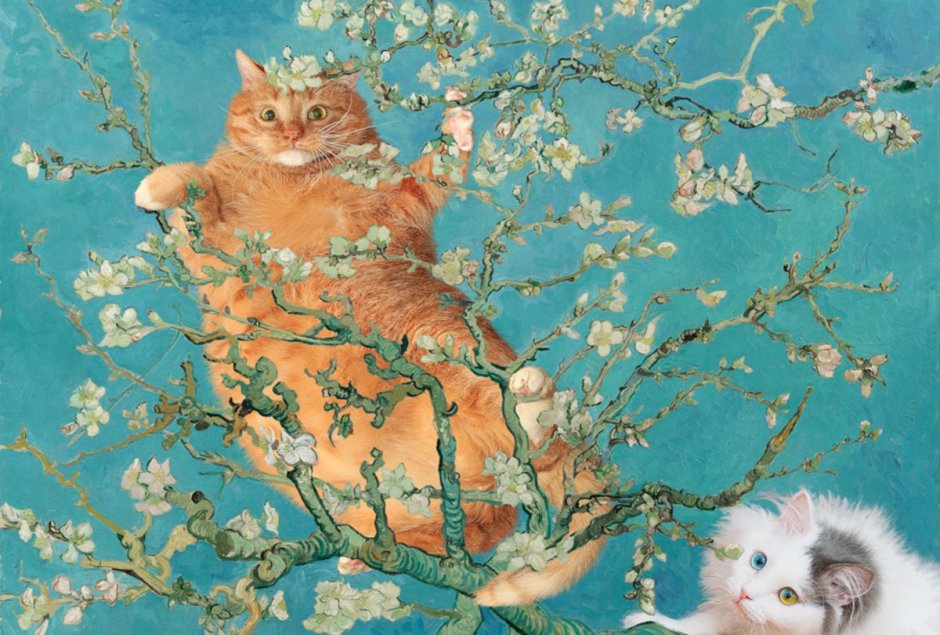 Коты в окне Весна