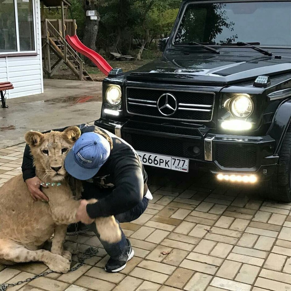Автомобиль с львом з