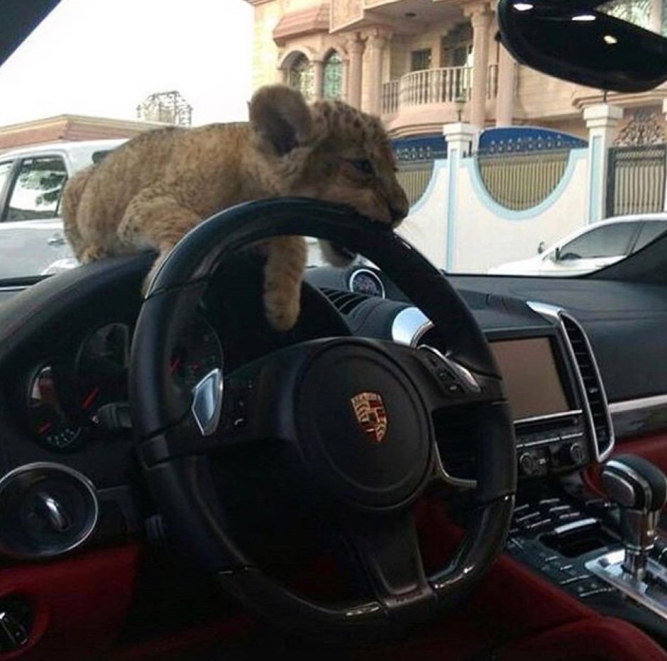 Аэрография на авто Лев