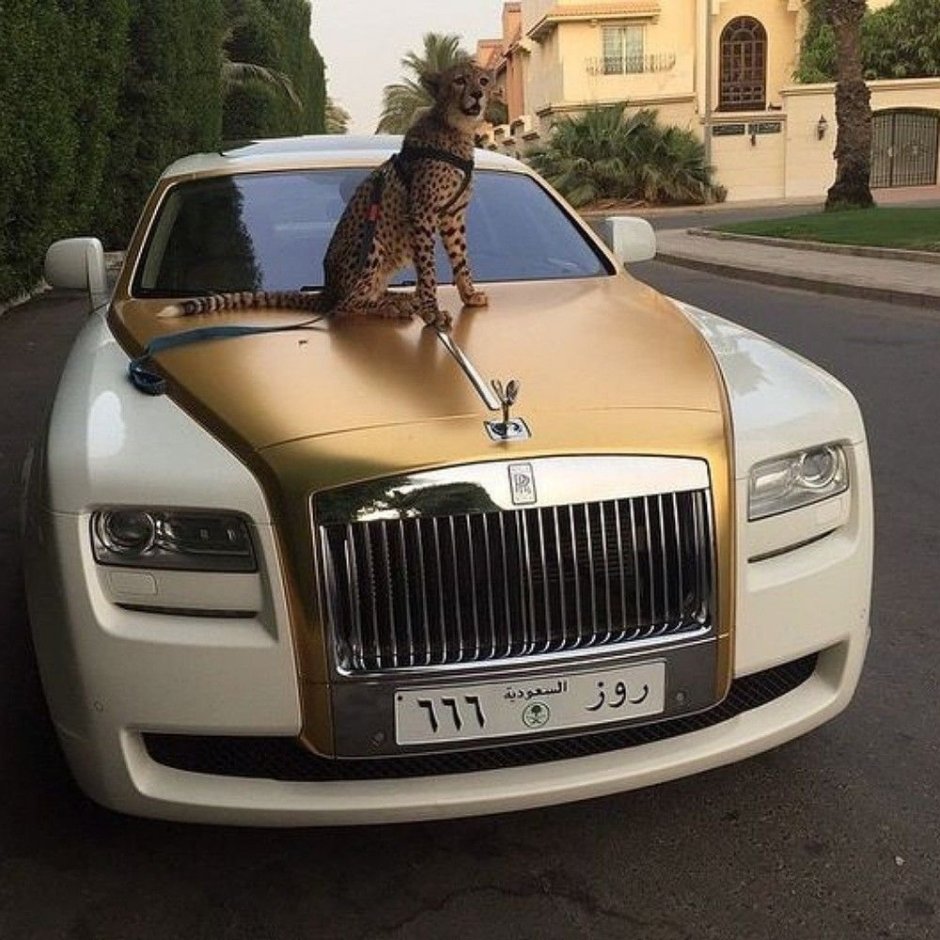 Возле машины