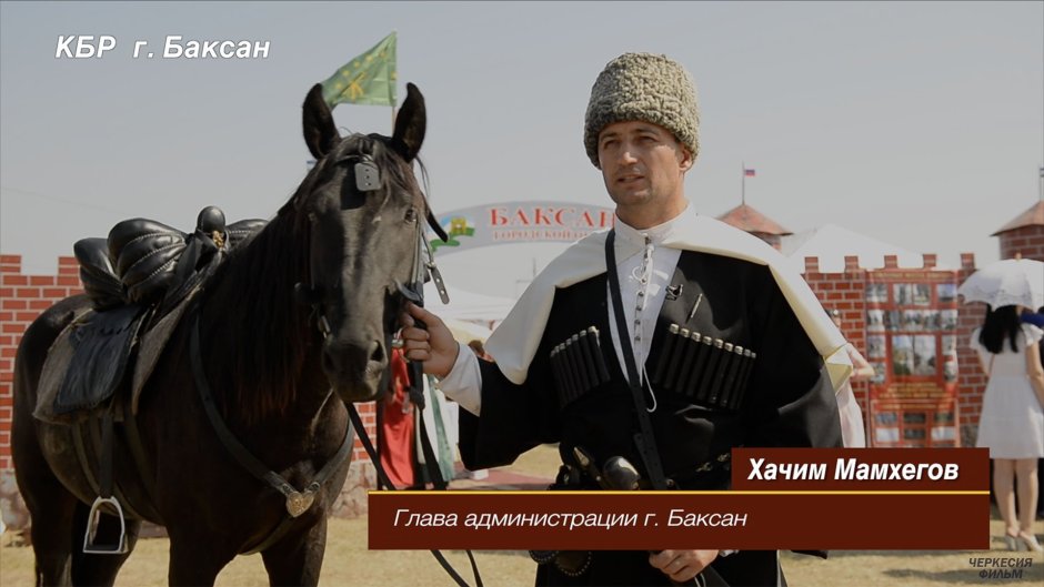 Гнедой Мустанг черный