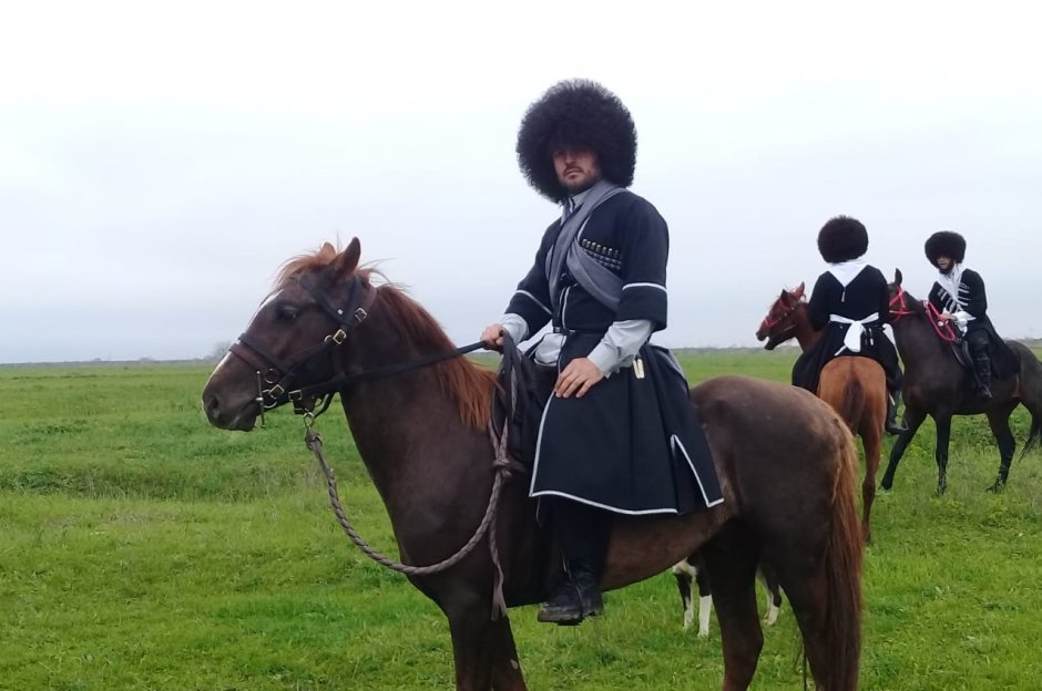 Лошади панорама