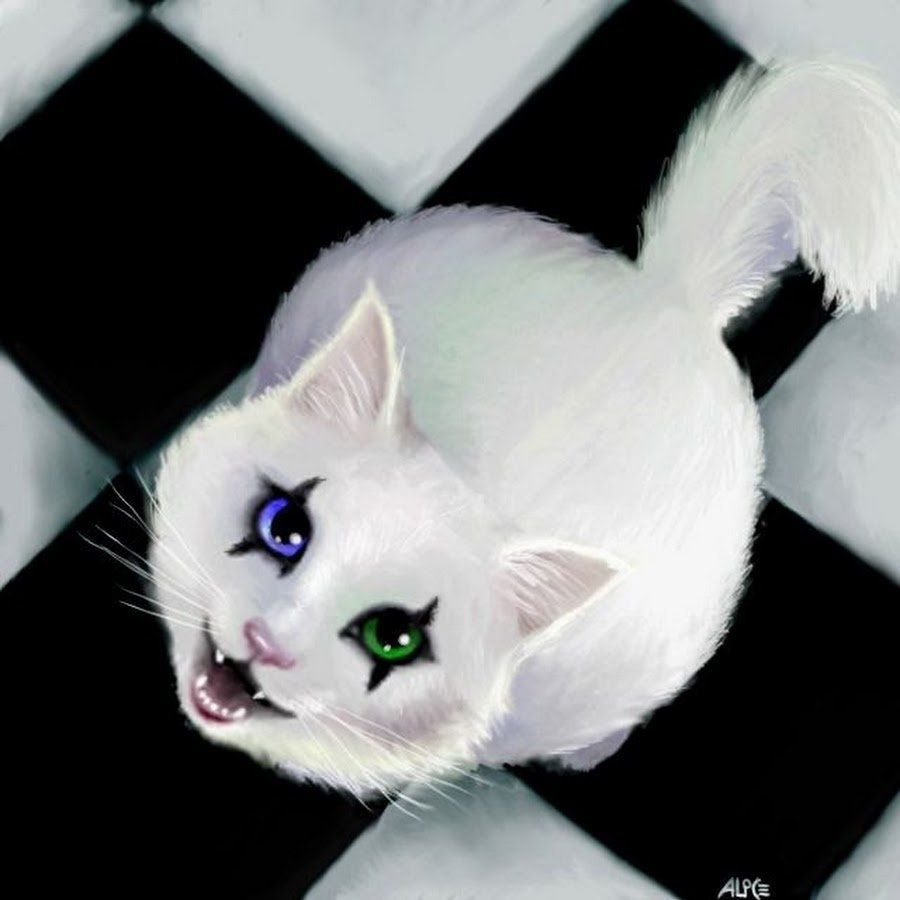 Белая кошка с черными глазами