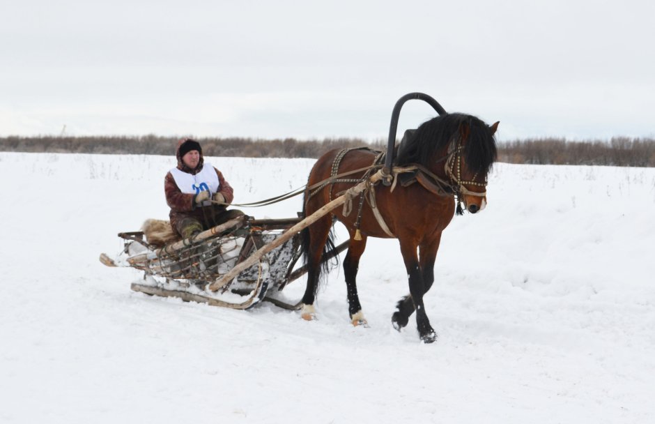 Народные промыслы Мезенская роспись