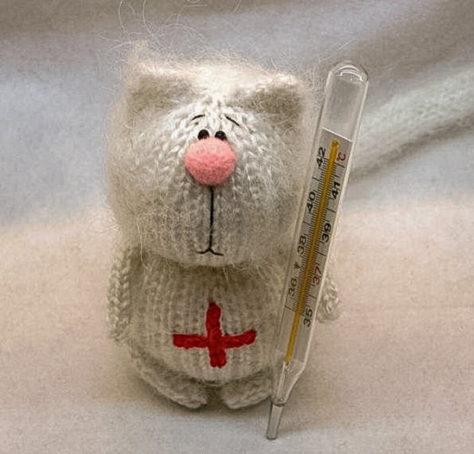 Кошка с градусником