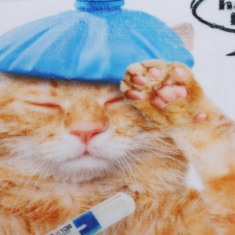 Кот с больным горлом