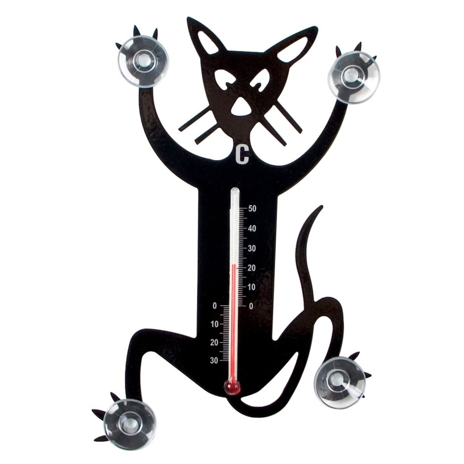 Термометрия у кошки