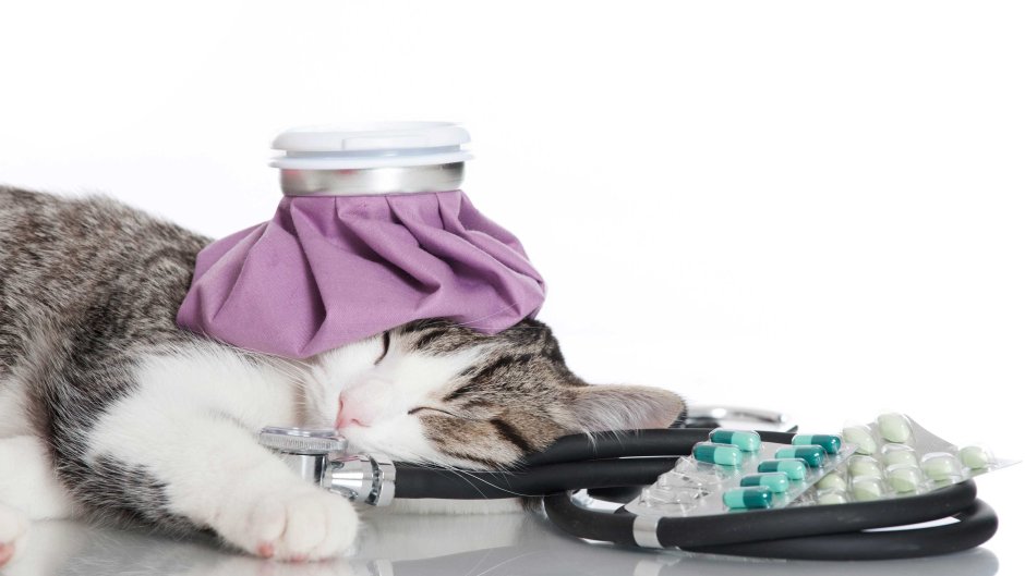 Ложись спать пораньше