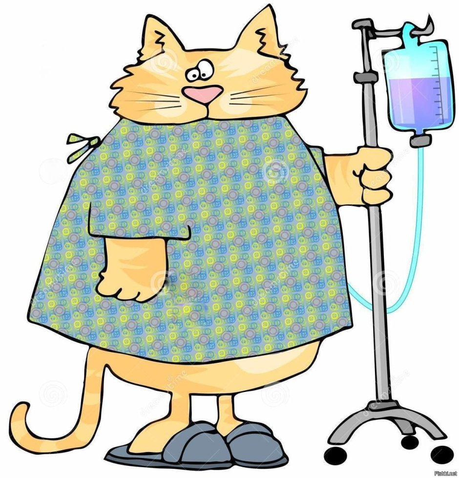 Кот под одеялом с градусником