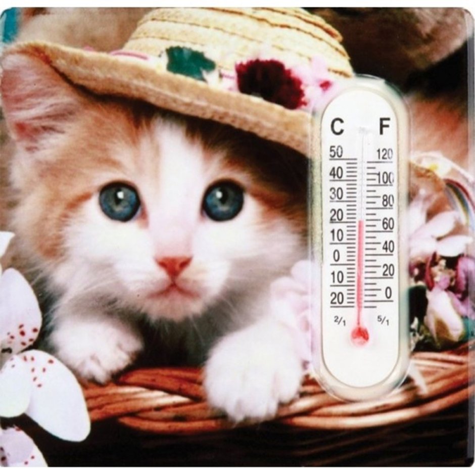 Милые утренние иллюстрации