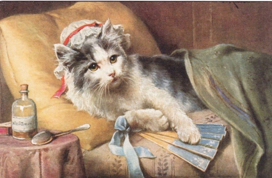 Котик болеет