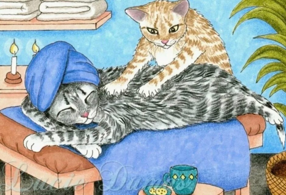 Кошке дают таблетку Мем