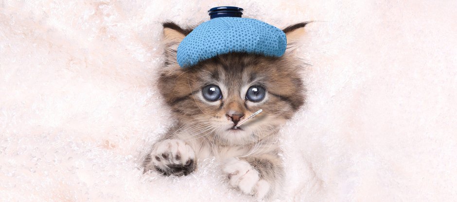 Выздоравливай доченька