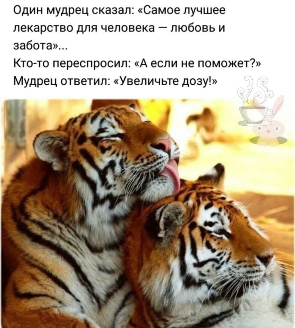 Самое лучшее лекарство это любовь и забота