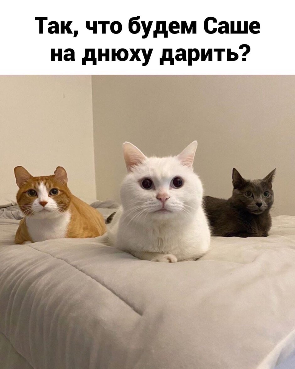Не обижайся