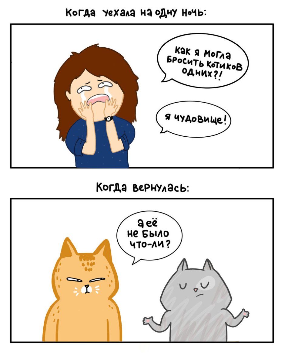 Девушка с котом
