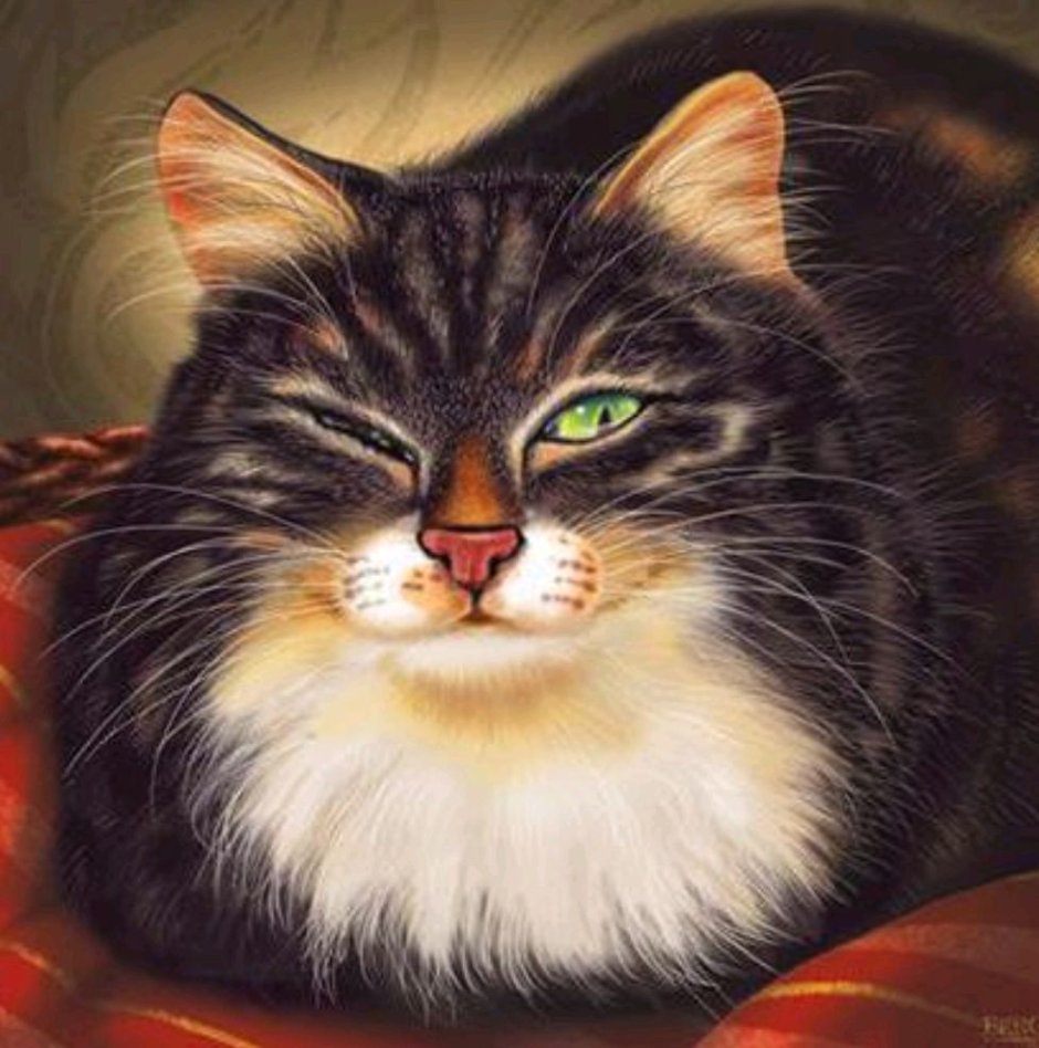Довольный кот Мем