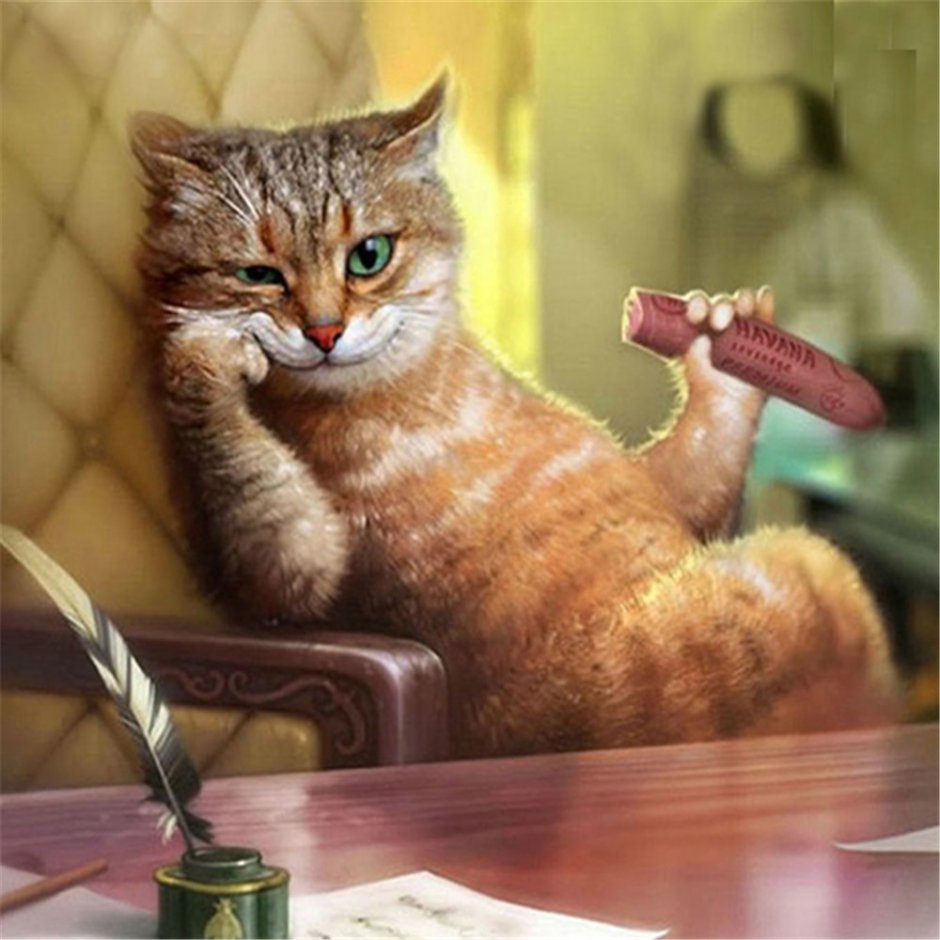 Шутки про котов