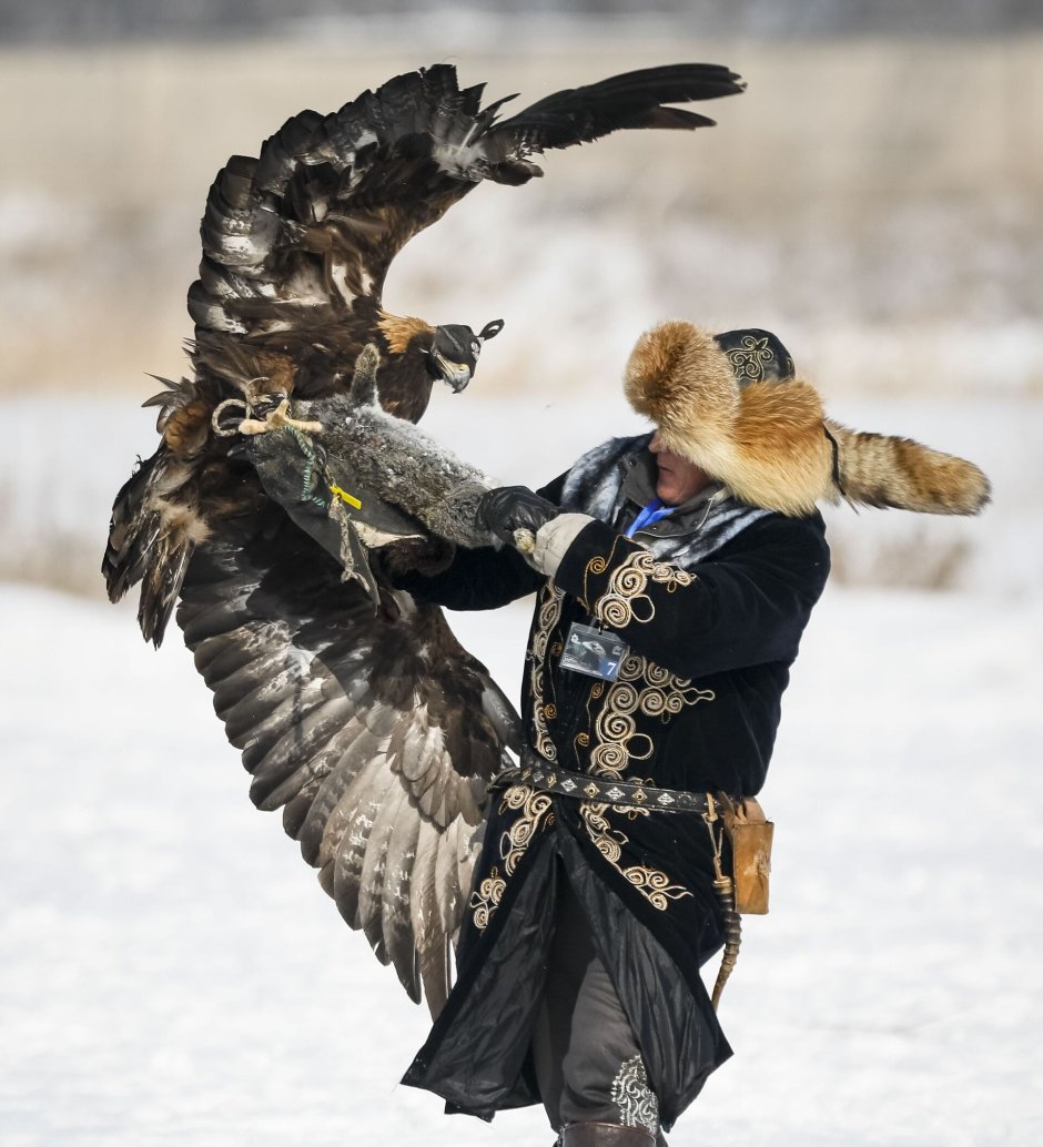 Фламинго на Иссык-Куле