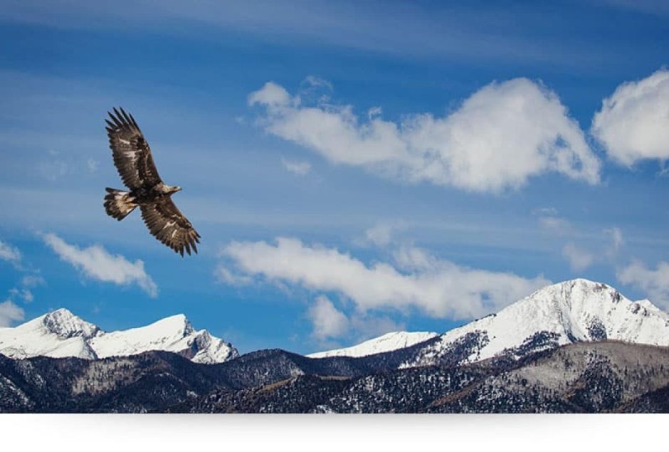 Снежный Барс Кыргызстан