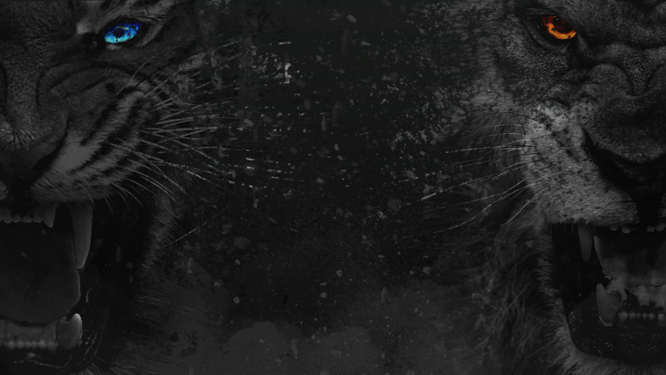 Хищные животные