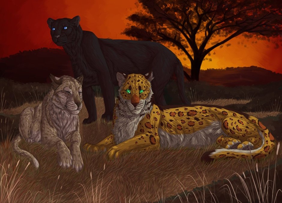 Леопард, Барс, Пума, Ягуар, Рысь.