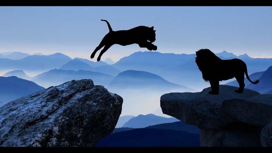 Пантера на скале