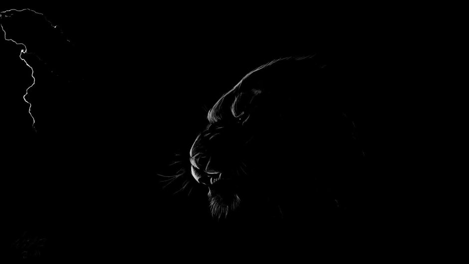 Магические животные