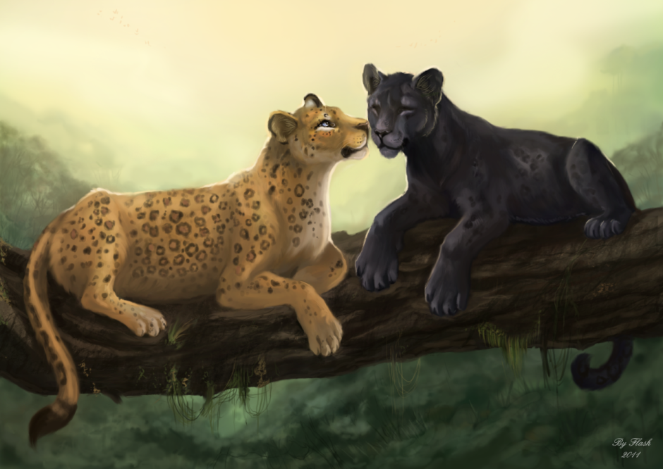 Кэрол Каваларис картины животные