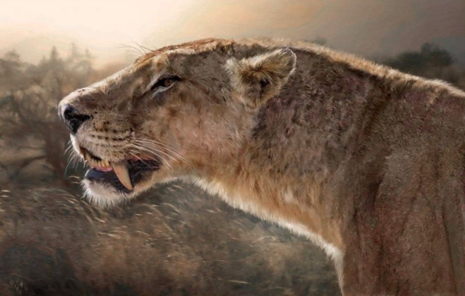 Smilodon Populator и Smilodon Fatalis