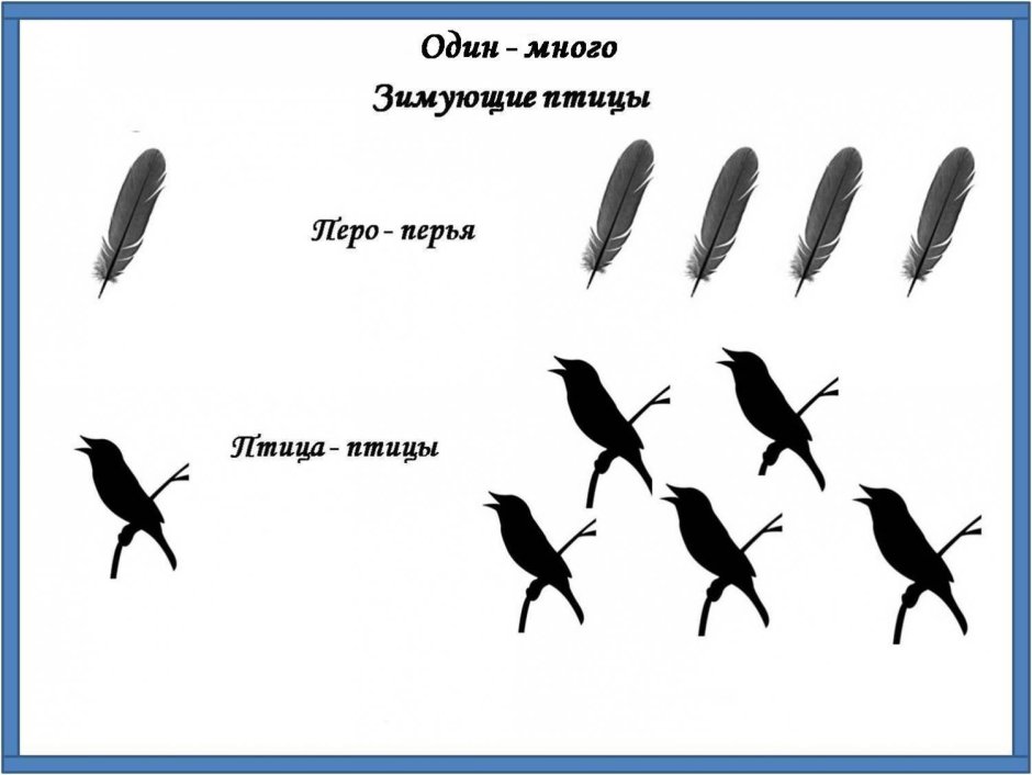 Сокол Сапсан
