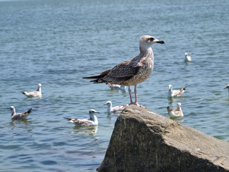 Инструктаж Бакланов