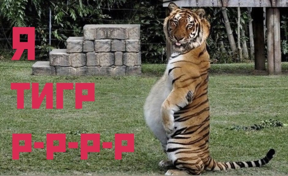 Антропоморфный тигр